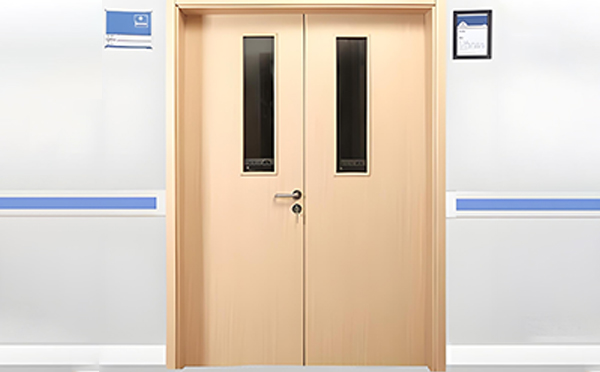 托里医用门